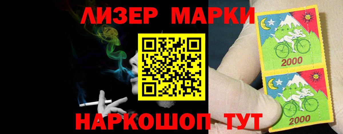 Новозыбков  мега онион  Вход с VPN  LSD-25 экстази кислота  LSD-25 экстази 
