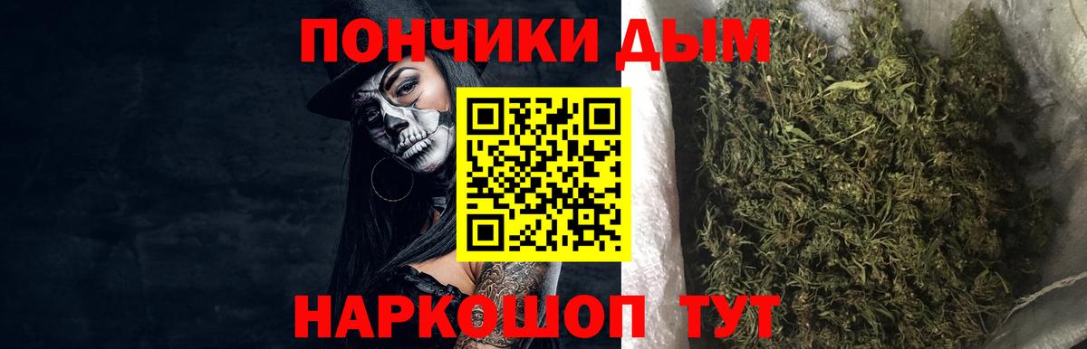 Новозыбков  Бошки марихуана White Widow  Вход с VPN  Бошки марихуана Amnesia 